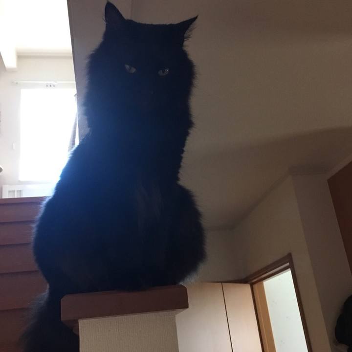 Cc1075c2 9669 434d 89c4 dcb400df0781 1531041268735