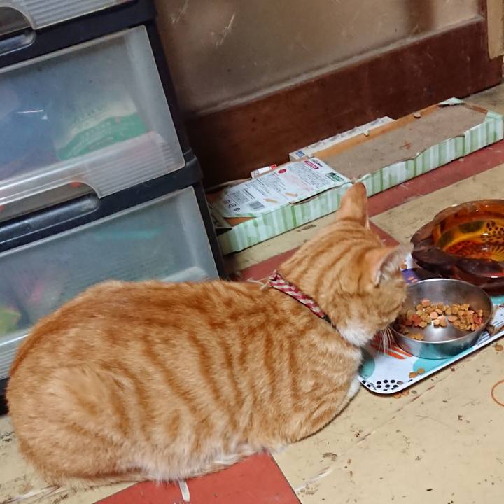 Cc1093fa 823d 438c a251 a208b54fc213 1563221775625