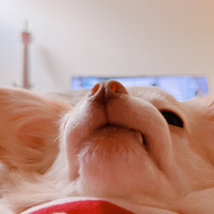 Cc10a02b 40ab 4485 ad08 7f3d2f68e3db 1665748901208