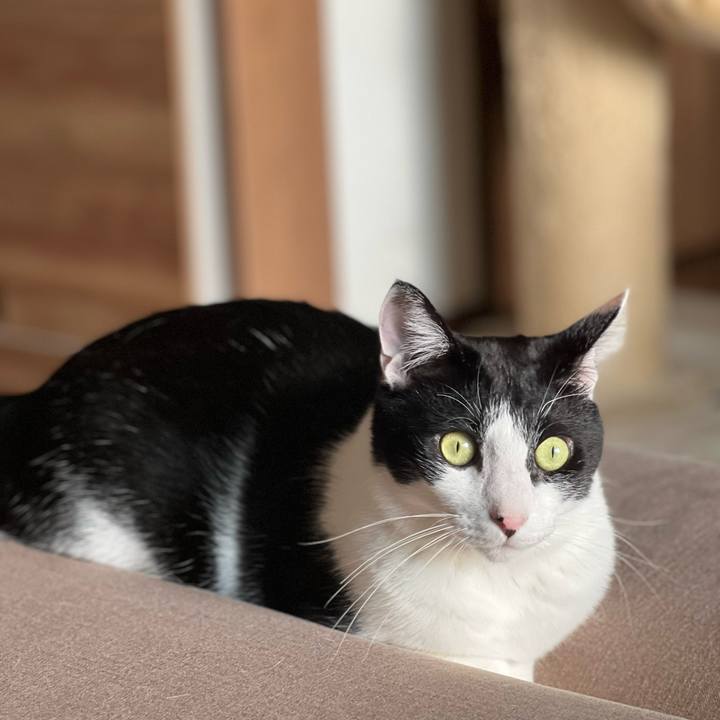 Cc10be69 2772 4632 a6d3 a401d0a33973 1697859010885