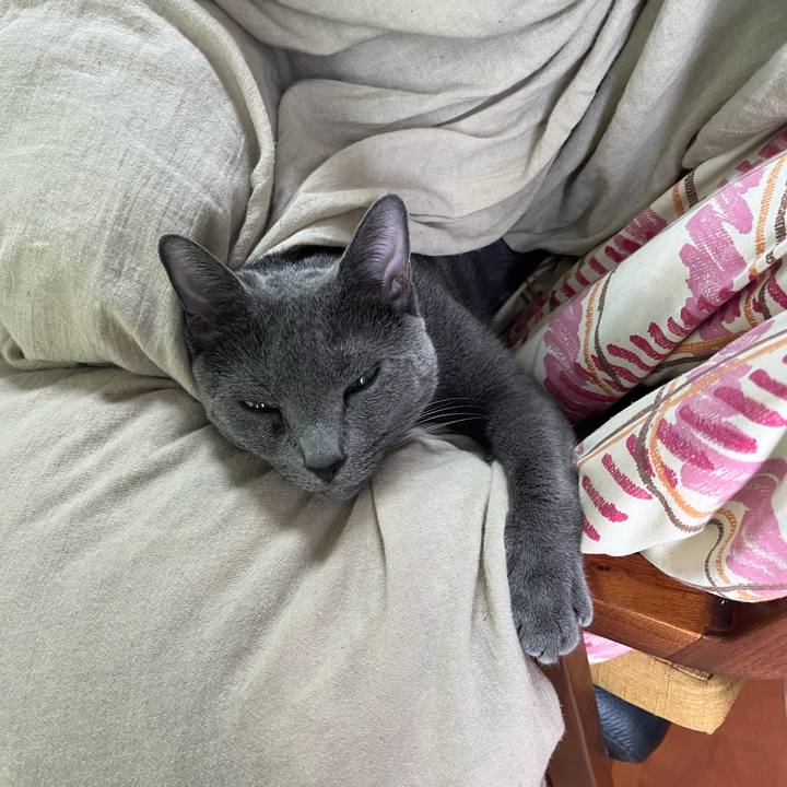 Cc10c250 a4f3 4550 b2ff af5a9abf0dc7 1685615569944