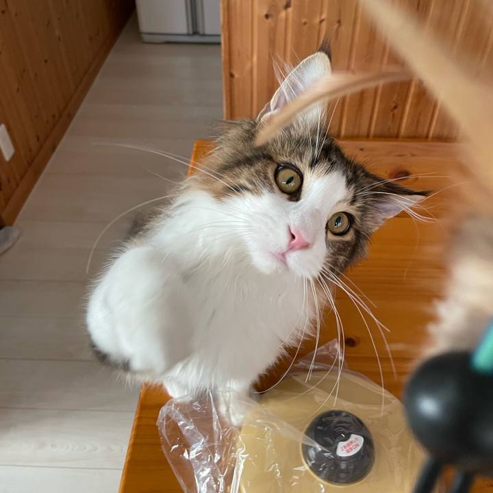 Cc10db9b 7abb 4ef2 8653 7e137b964a62 1637647711671