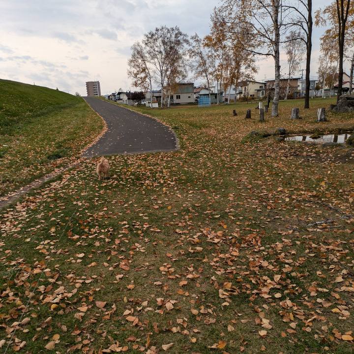 Cc111bda 33d1 4849 8eca ca1538790a94 1730000396150