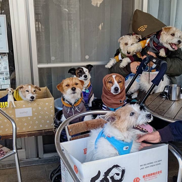 Cc113b26 6c01 4541 96f0 c4954f0bd38b 1678184744558