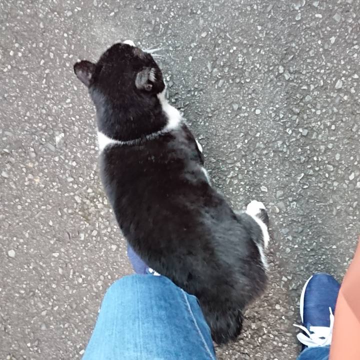 Cc117818 fa42 4d77 ad95 e5590de7aa8d 1667123440047