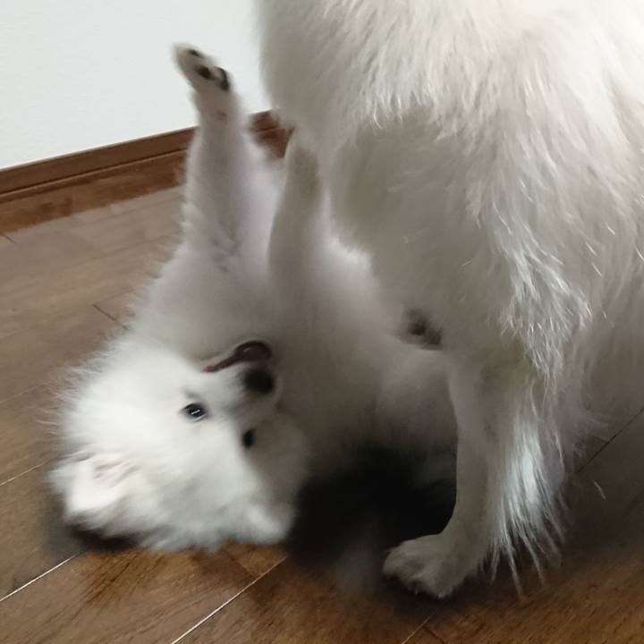 Cc117ede bec2 406b bf61 ba89e75acab1 1547729279984