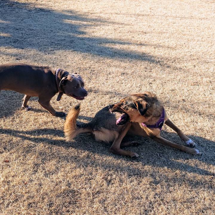 Cc118748 9205 4e72 8cf8 96b5b6553cff 1737885672036