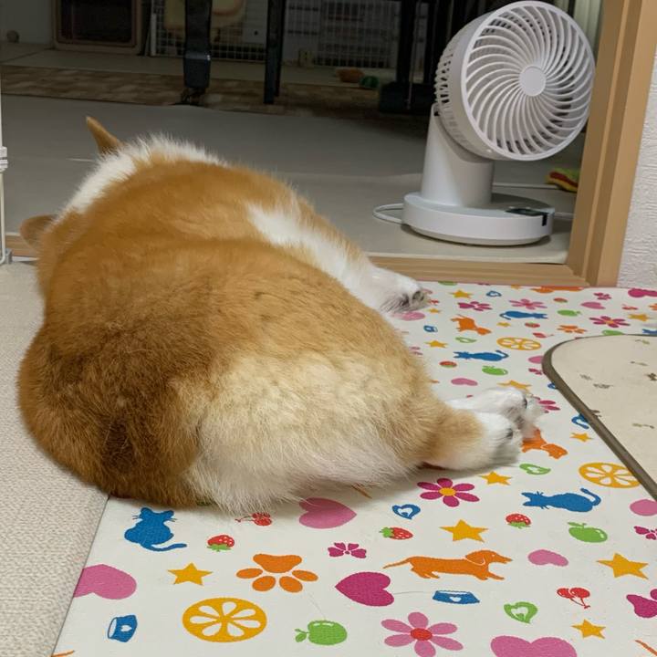 Cc11df68 1c1c 4c47 8671 82dcfe5f0b4f 1691546999404