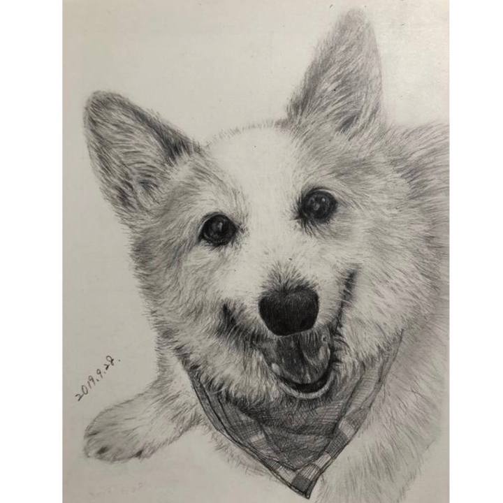 Cc123fb4 eefc 4483 af55 134a19176c3e 1569727643874