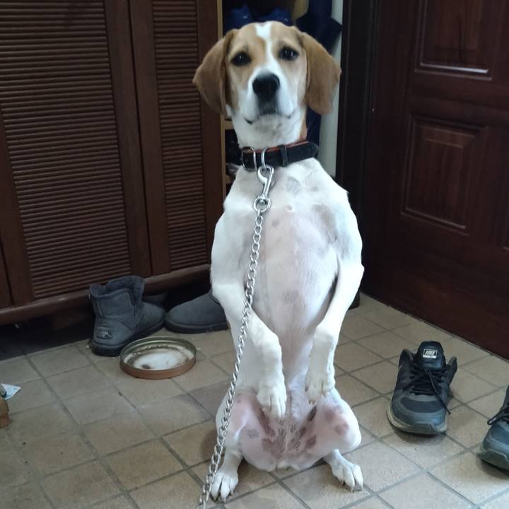 Cc124f4e 1fb8 4d90 978a b781929967e3 1628239760180