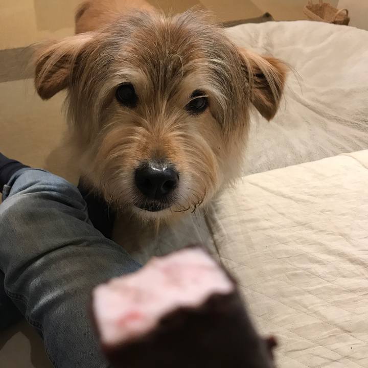 Cc1267ab e815 4db5 b447 34ad3329f84b 1619569259926