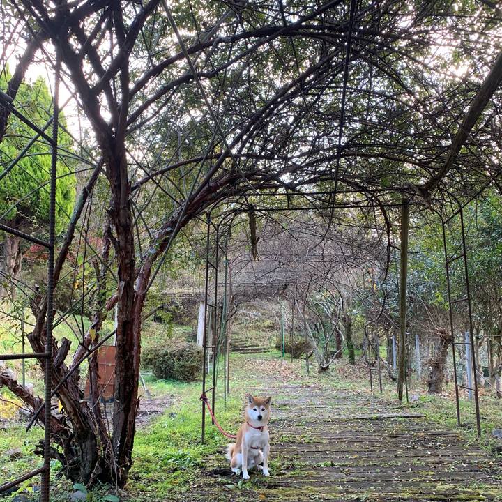 Cc126f35 20e2 4ae2 b7c1 d40e1f93d383 1605875272347