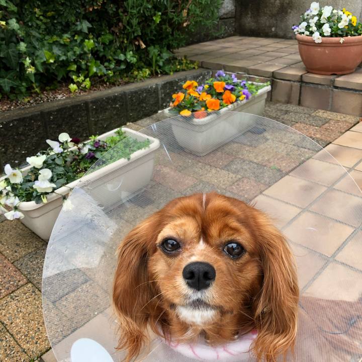 Cc128c74 ada7 4314 8fce d7f11c7dbc94 1583020519248