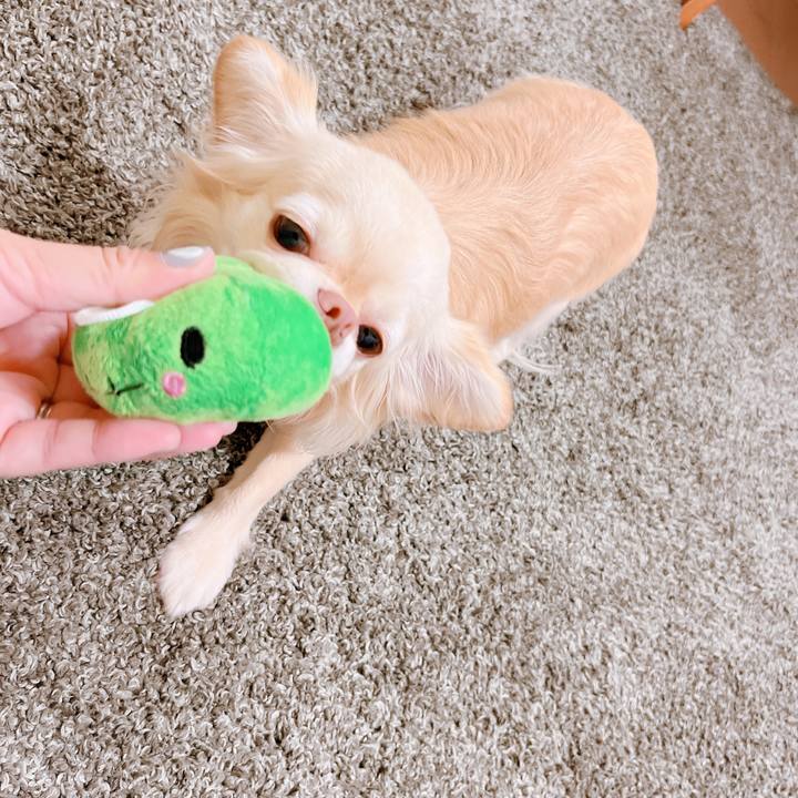 Cc12e722 5cda 49bd a494 f61a6fcc0435 1654399776292