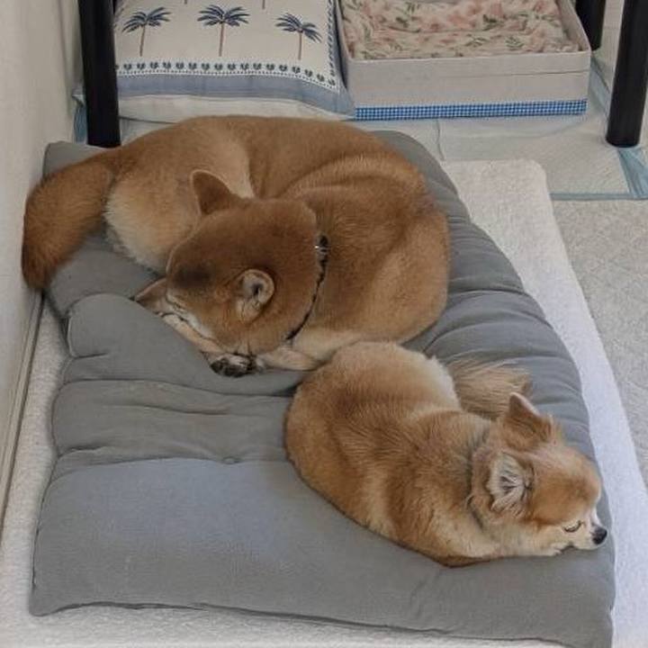 Cc12e9f6 d6b0 4892 b717 aa807cd796c6 1772877966450