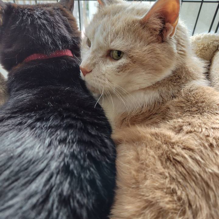 Cc134d64 b8fe 4ec3 ab9c 7c8db93f92d2 1719102900955