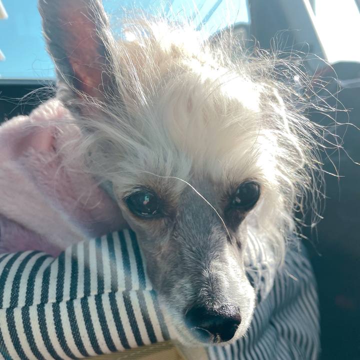 Cc1388e7 6526 4a4e 8522 ce6d33035865 1769596362064