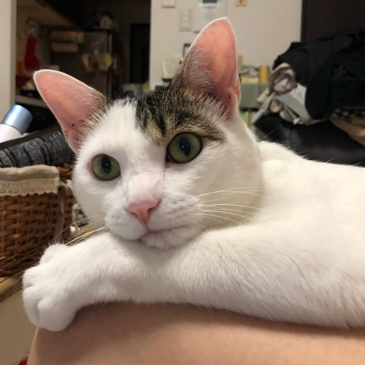 Cc13b17a a0e6 4aef abe7 65a39e99ee0c 1532734138851