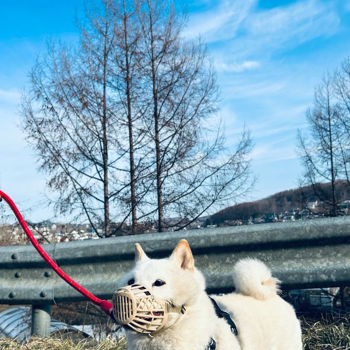 Cc13fb7a 11dd 43e7 b0ff f7056520d28c 1744323310687