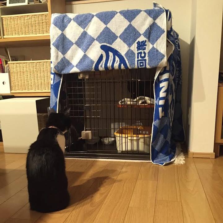 Cc14048d 2016 440e 8091 4d78939ef13a 1522300527280