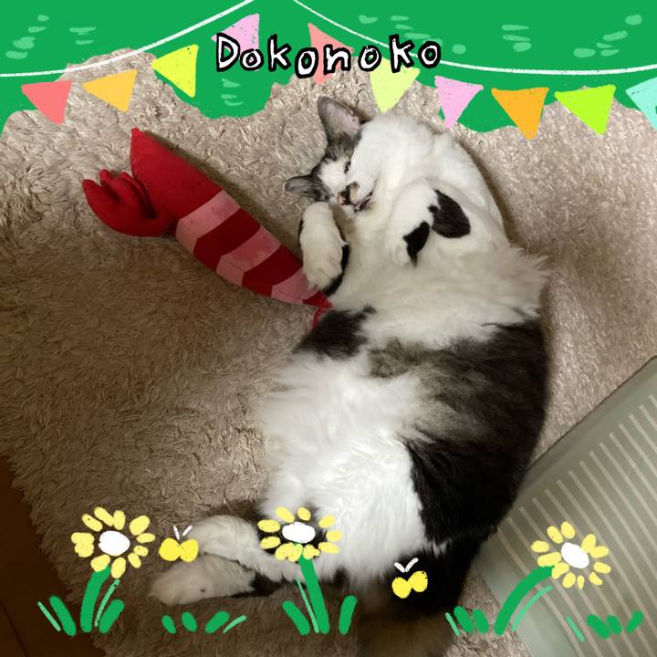 Cc140b67 2efa 4df9 a87c bfc6ce5f3349 1711024224169