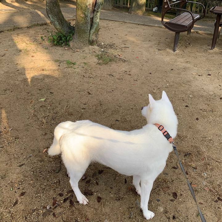 Cc14163f 9f27 4b56 aec0 7df7f9ea1fd1 1574556916523