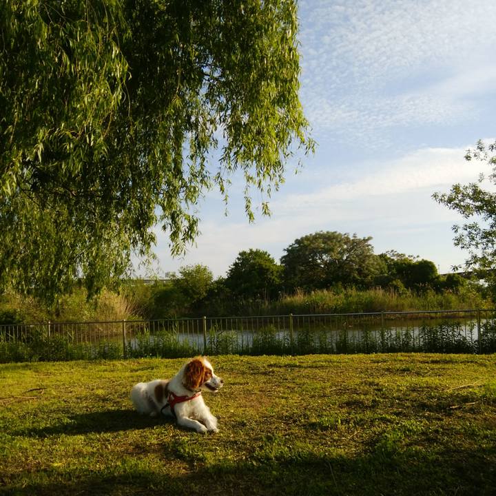 Cc144e7f 54a2 4226 b8dd d21152af0bdf 1526126966349