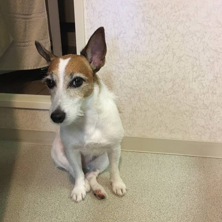 Cc14b13d 237d 4814 b5ea bcd165fbb2f8 1599781382825