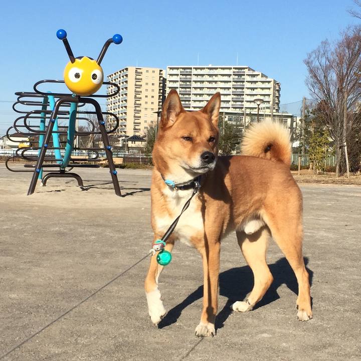 Cc14df02 de2b 4a20 8952 66159237a157 1518835049977