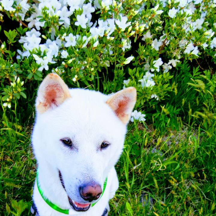 Cc14e804 cefd 4644 93aa eceed989ec2b 1525518653321