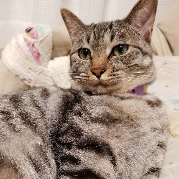 Cc151004 66aa 46ca aae0 583b680b2123 1683808791255