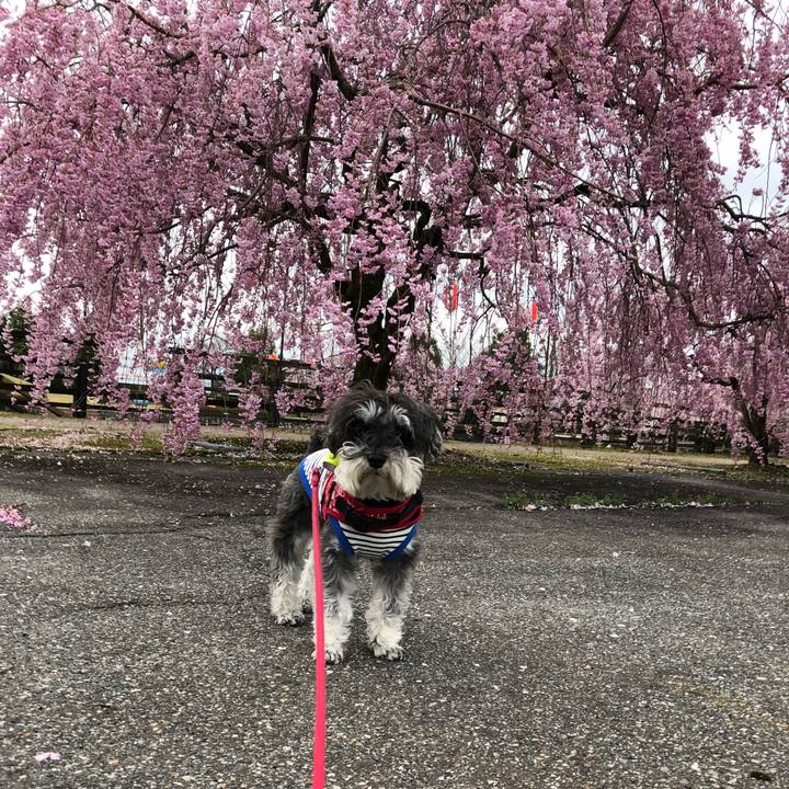 Cc15103e 72a5 46cb 9124 882e41dc7a1c 1523062671873