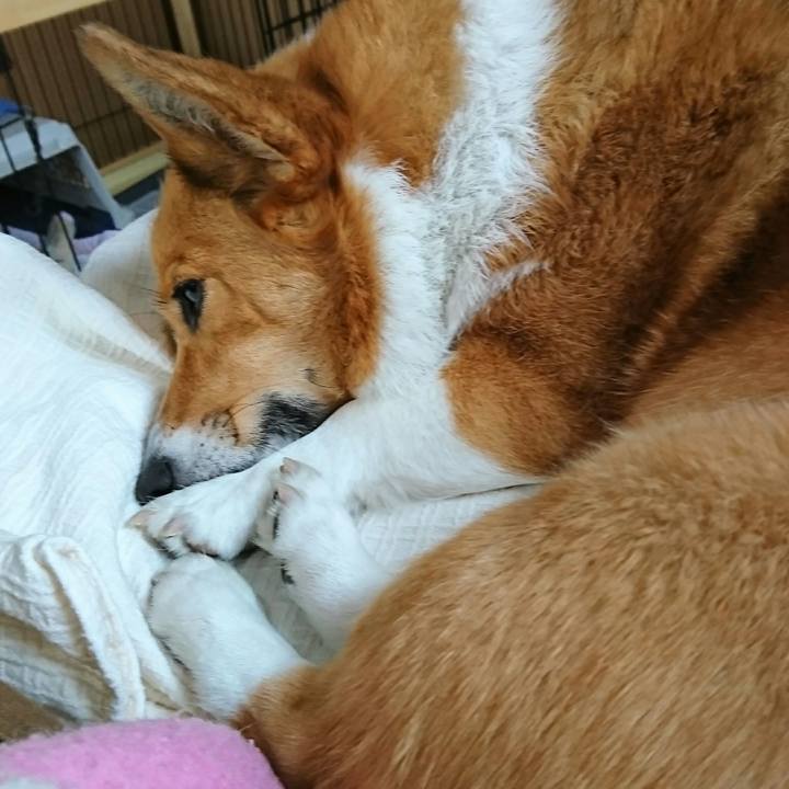 Cc15180c 8805 4a1d a486 733f10c5f538 1520491168480