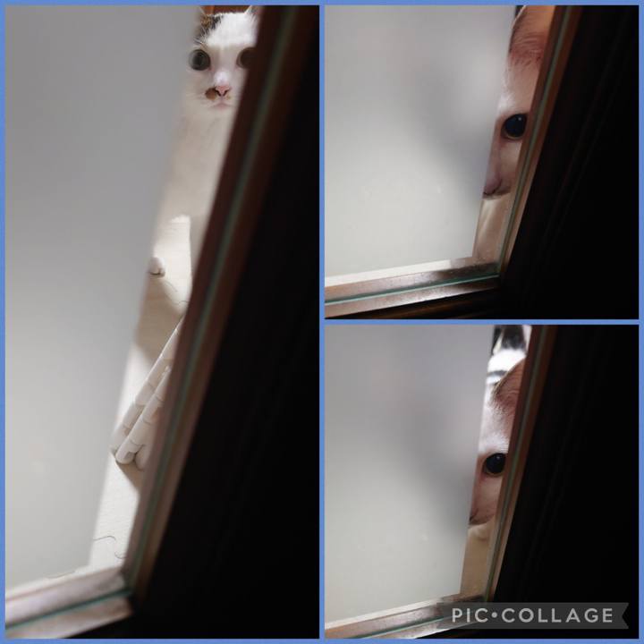 Cc152374 5a72 4e25 8c61 91d1b98486ce 1693230847264