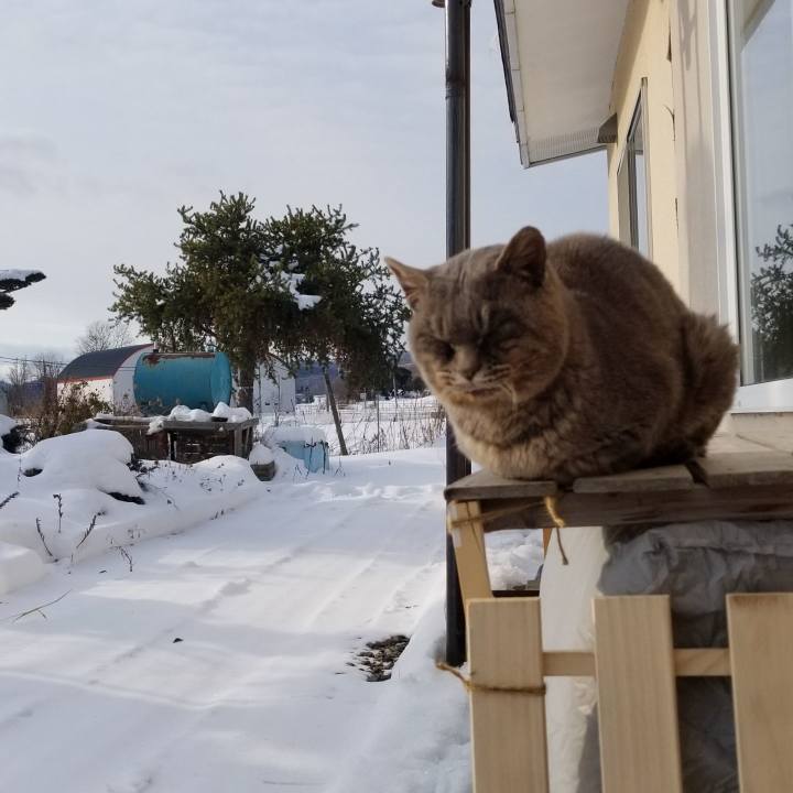 Cc153aab 6e30 4f11 af9e 14b2338ce6fa 1545484349339