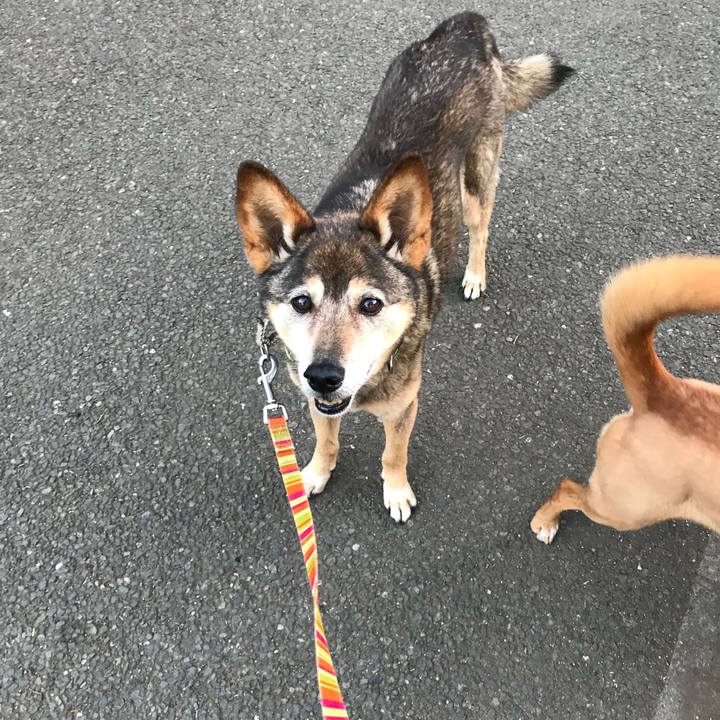 Cc157975 5ac3 429b 9baa 7fe87a00b774 1527461748174