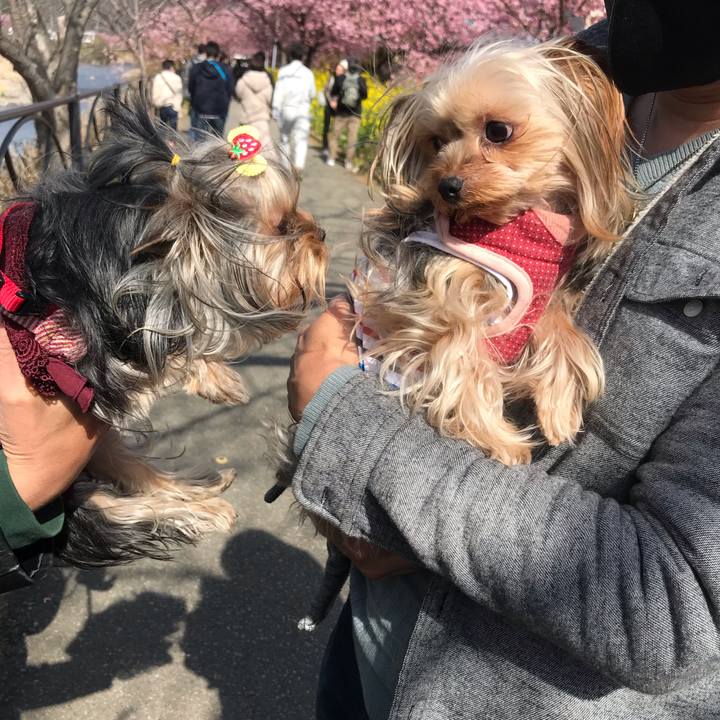 Cc1587f8 ea06 4723 bd81 a4874a992422 1646462149905