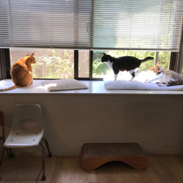 Cc15ce7b 287f 41ad 89eb 6003b09fddef 1529984103653