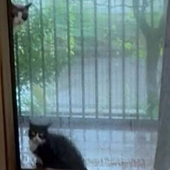 Cc15de85 2ae3 49fc 8884 3a4927b47324 1754791575230