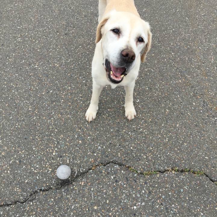 Cc15e1c8 c946 492f bc77 800a4fb32112 1528249614603