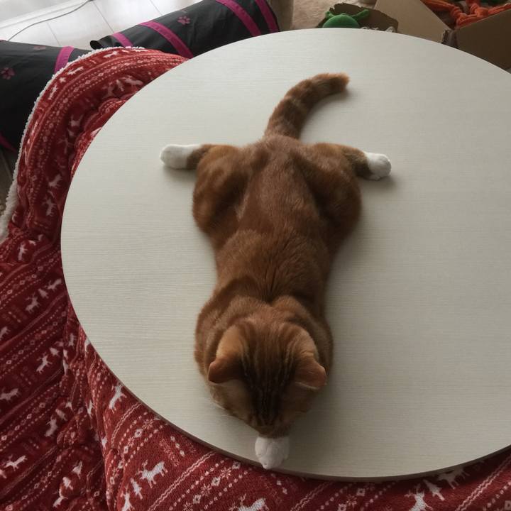 Cc15e2b8 865e 4a0e 9d9e 4fe45bdc2f7c 1525910974958