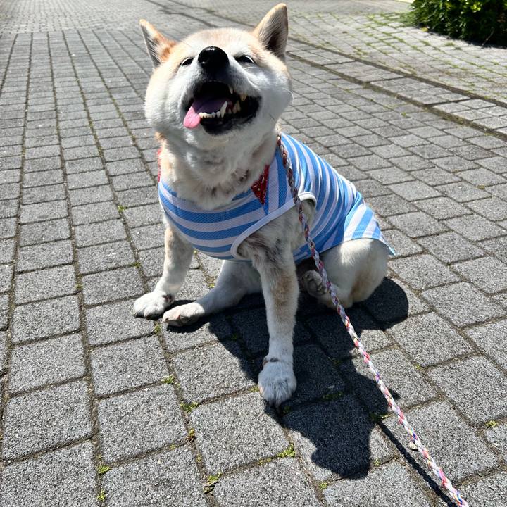 Cc161358 02ee 4734 971d a939df30164b 1746241816497