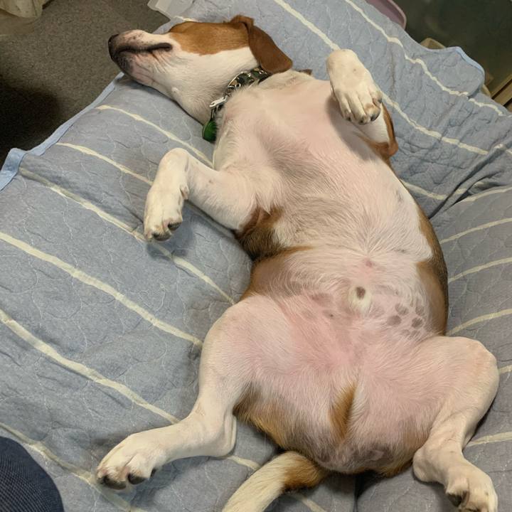 Cc1618c5 02ca 4a70 9cbd 9c99ffc65577 1570855691427