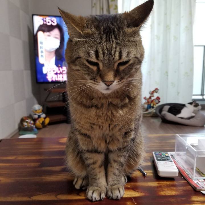 Cc161bfb b0c9 42e2 a773 1b88e645d7da 1618865647282