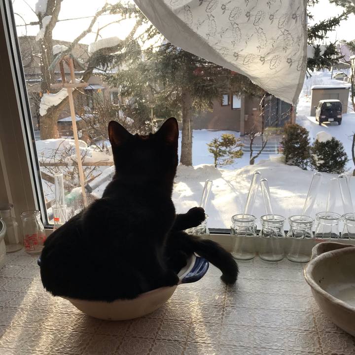 Cc16821f 9be0 43d5 a646 8621c1115dac 1581375735339