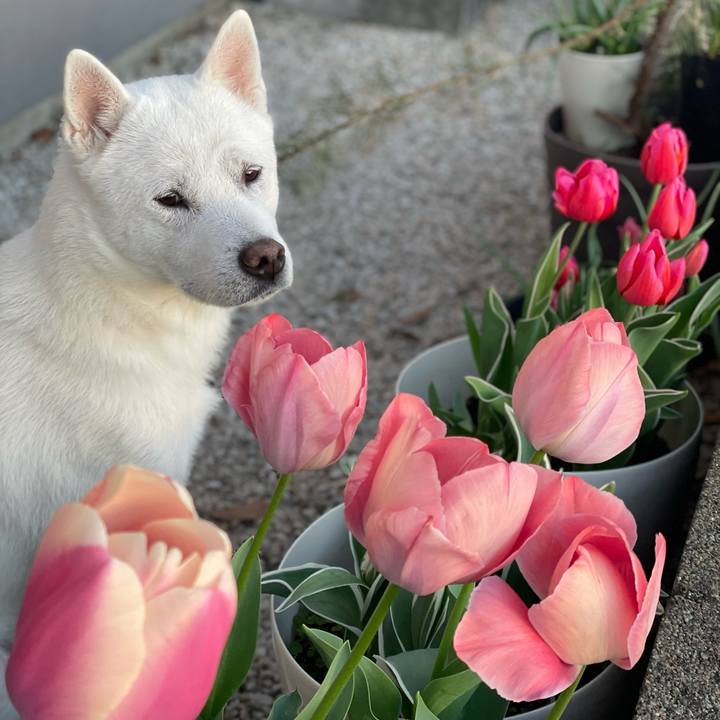 Cc168998 46a8 4f08 b24a f33e86380d5a 1679997765244