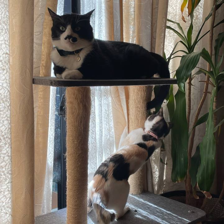 Cc168ae0 4c10 432f bb44 6308bdf15a29 1736381236329