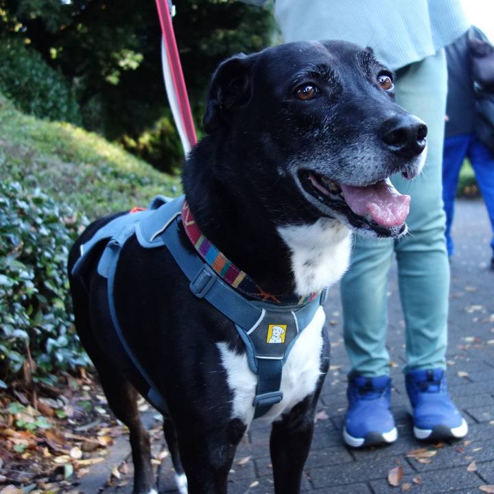 Cc169a0c f9e4 45d8 a3e5 cbea7c27fc2c 1730592616183