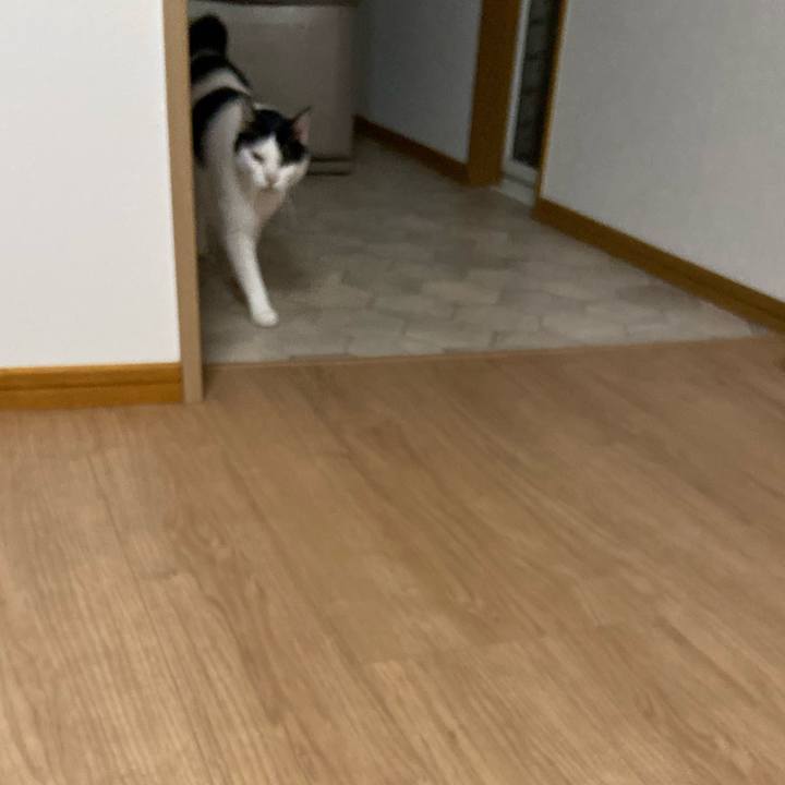 Cc16a562 6fe6 4586 bb87 d8bc028d68b7 1574686898587