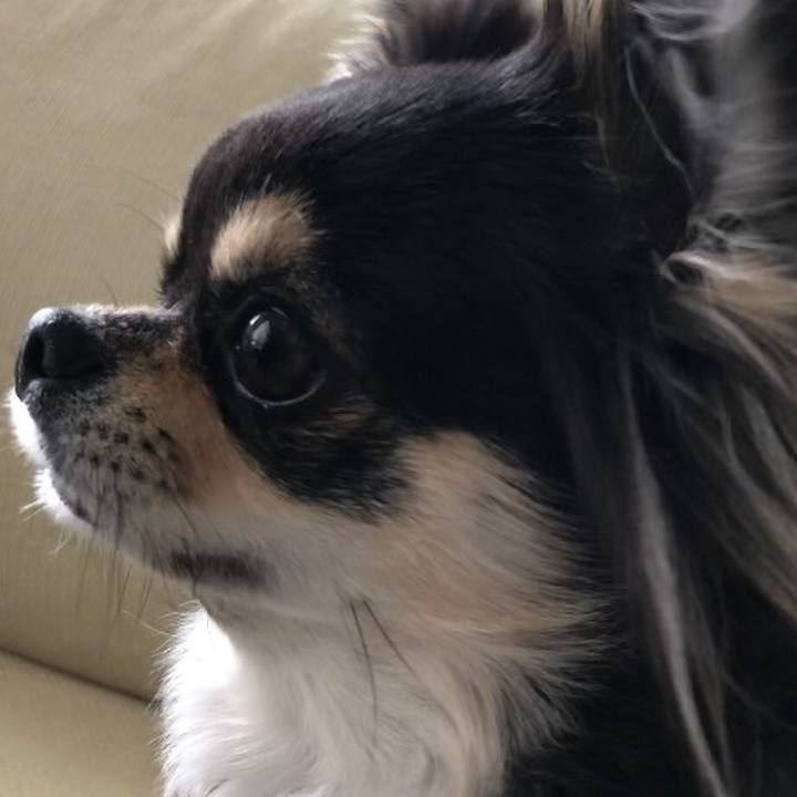 Cc16baa1 c671 4bd9 895b b819518e00aa 1590812615329